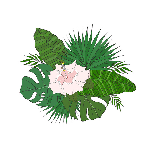 Set of leaves different species palm trees and hibiscus flower. - ベクター画像
