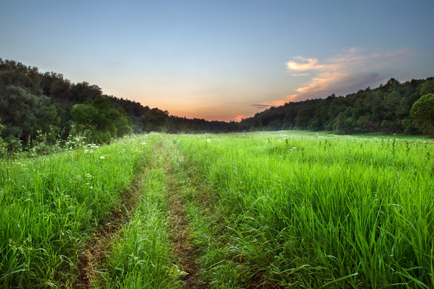 Letní krajina se zelenou trávou, silnicí a mraky - Fotografie, Obrázek