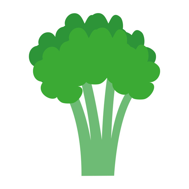 broccoli groene boom, vectorafbeelding - Vector, afbeelding