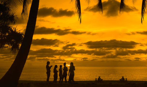 друзі на тропічному острові насолоджуються вином
 - Фото, зображення