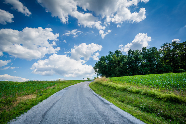 Сільських сільська дорога біля Джефферсона, в York Каунті, штат Пенсільванія. - Фото, зображення