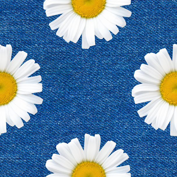 Ромашкові квіти безшовний візерунок на фоні джинсів
 - Фото, зображення