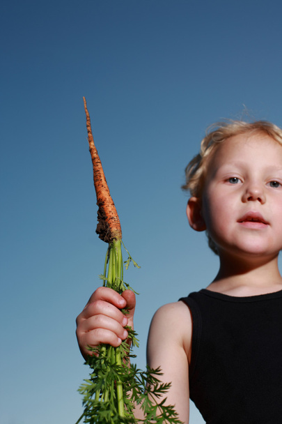 Jeune enfant tenant une carotte
 - Photo, image