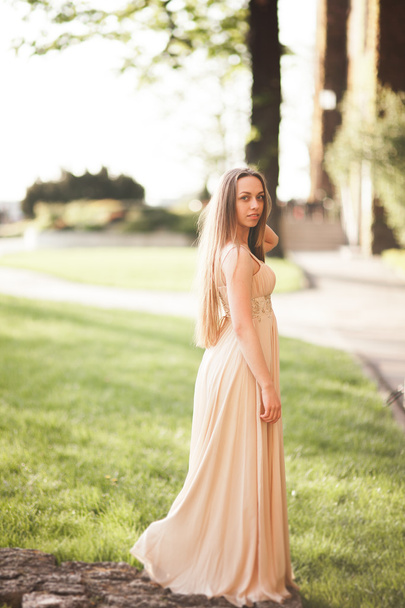 Attractive young woman with long dress enjoying her time outside in park sunset background - 写真・画像