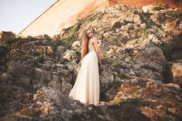 Attractive young woman in long dress standing on the rocks - Фото, изображение
