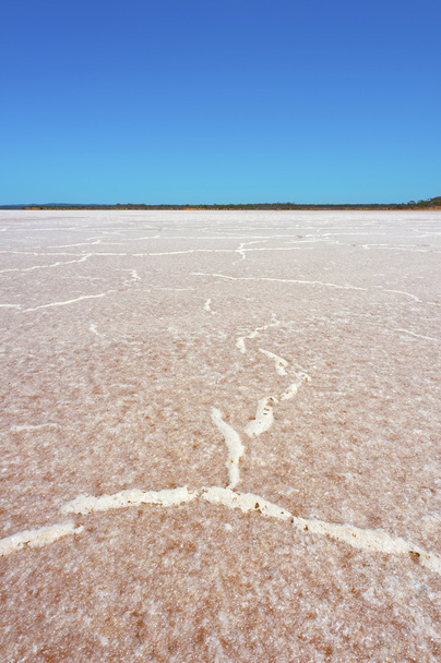 Salt Flats Extend to the Horizon - Photo, Image