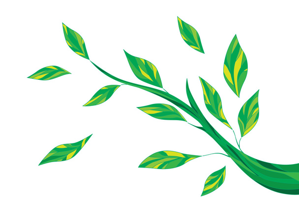 Стилизованные зеленые листья на ветке
 - Вектор,изображение