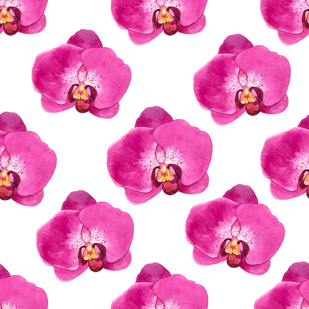 Spring seamless background with watercolor orchid. - Foto, afbeelding