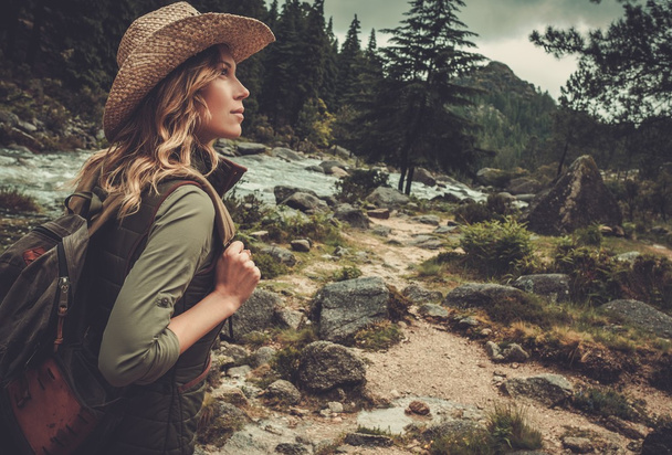 Kaunis nainen retkeilijä nauttia hämmästyttävä maisemia lähellä villi vuori joki
. - Valokuva, kuva