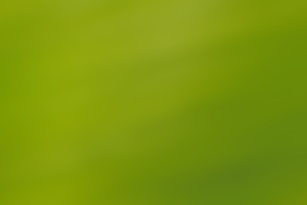 Fundo verde abstrato
 - Fotografia, imagem