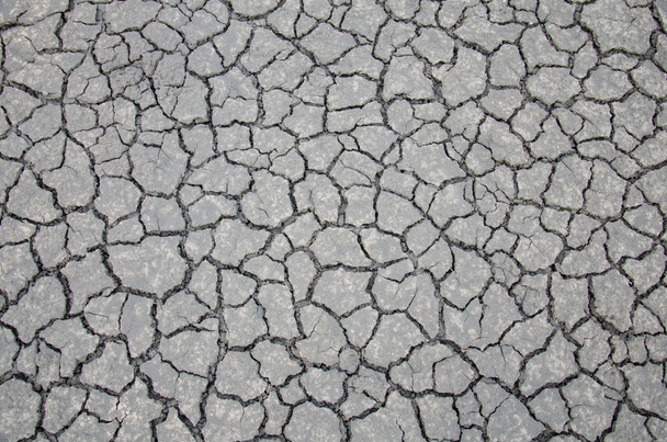 Background of soil. - Foto, Bild