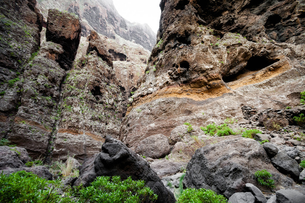 Hermoso paisaje de Tenerife - Valle de Masca
 - Foto, Imagen