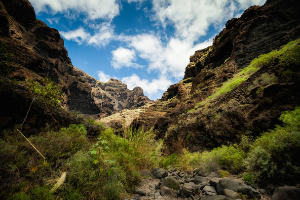 Hermoso paisaje de Tenerife - Valle de Masca
 - Foto, Imagen