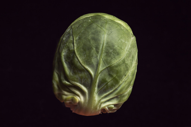 one brussels sprouts on a black background - Фото, зображення