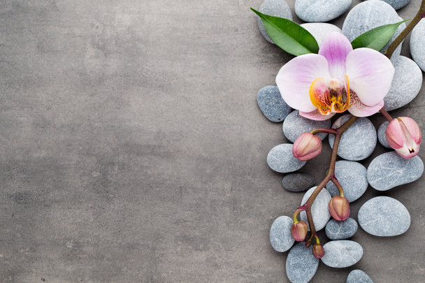 Spa orchid theme objects on grey background. - Zdjęcie, obraz