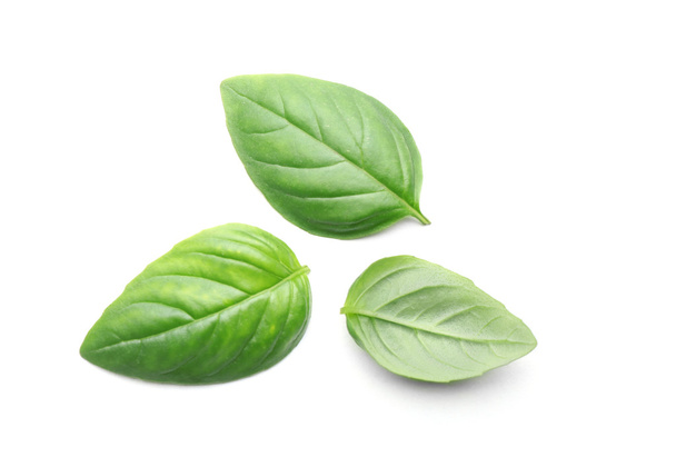 fresh Basil leaves - Zdjęcie, obraz
