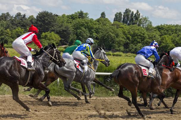 Horse race for the prize Baksan - Valokuva, kuva