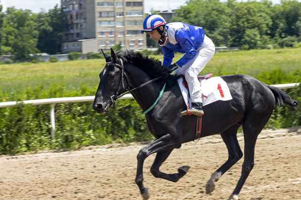 賞 Baksan の馬のレース  - 写真・画像