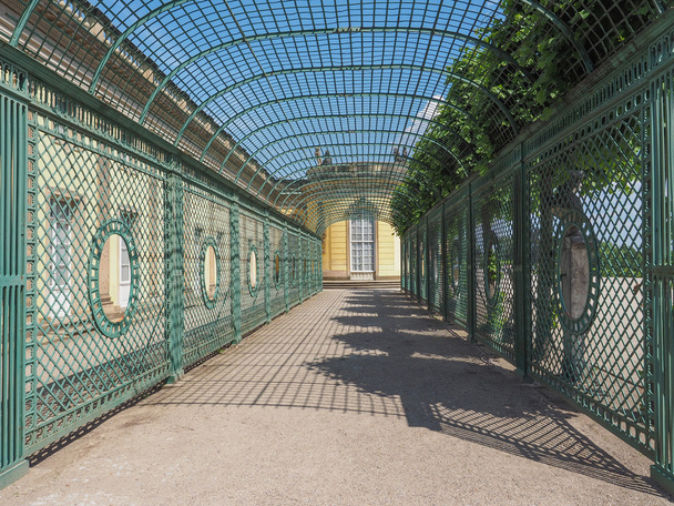 Schloss Sanssouci Potsdamissa
 - Valokuva, kuva
