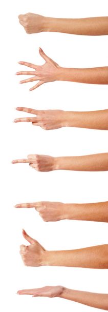 Жевательные руки
 - Фото, изображение