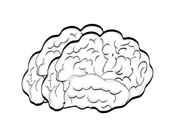 Значок мозга. Дизайн головы человека. векторная графика
 - Вектор,изображение