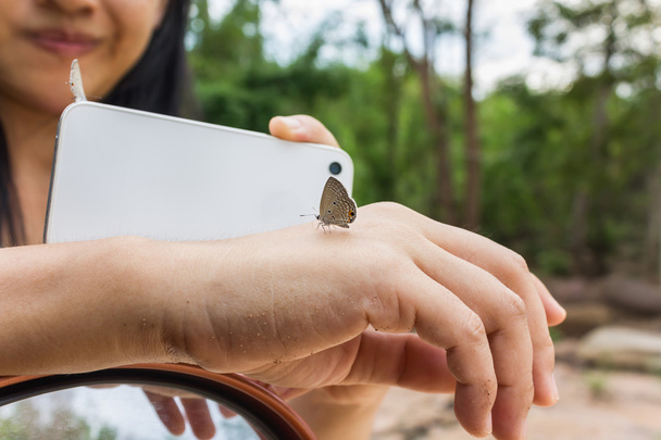 Adorável borboleta de repente pegar a mão com smartphone desfocado e
 - Foto, Imagem