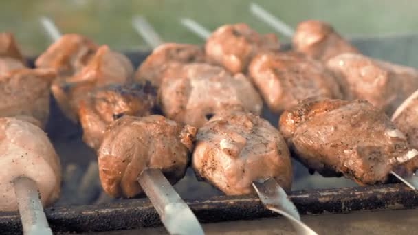 Brochetas de barbacoa con carne cocinada en la parrilla
 - Metraje, vídeo