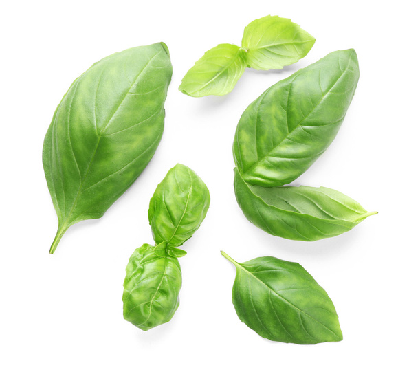 Fresh basil leaves  - Фото, зображення