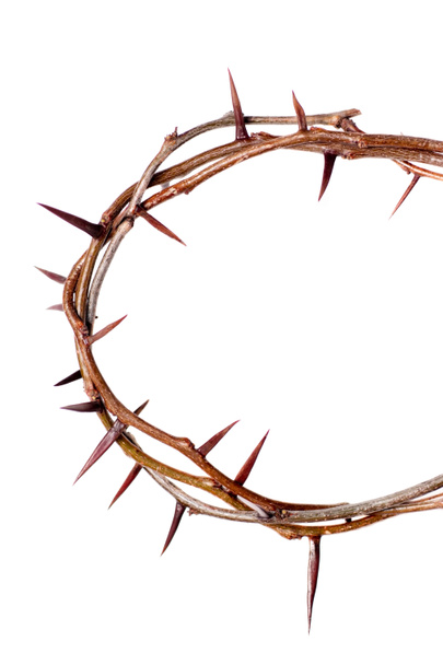Crown of Thorns - Photo, Image