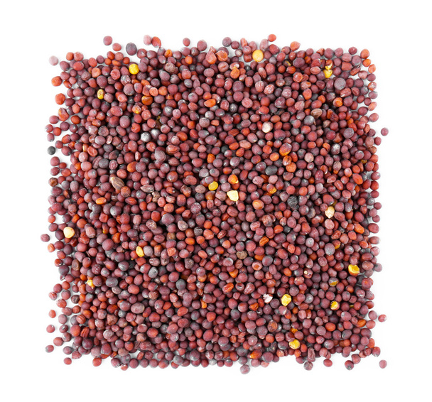 Square of black mustard seeds  - Foto, Imagem
