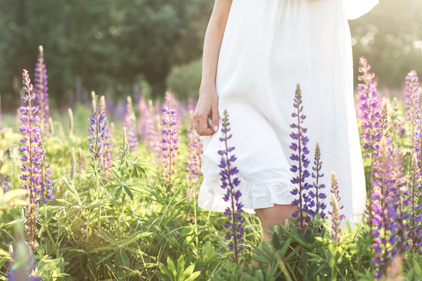 beautiful young woman in white dress in flower field - Fotoğraf, Görsel