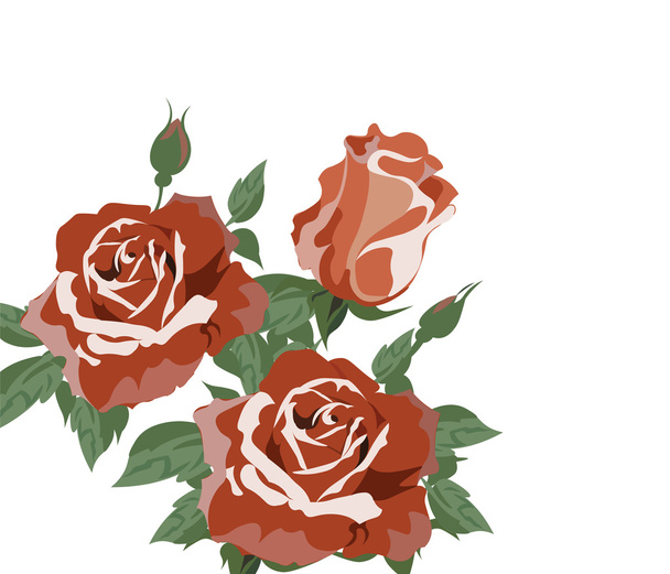 Vintage Акварельные розы Вектор изолирован на белом
 - Вектор,изображение