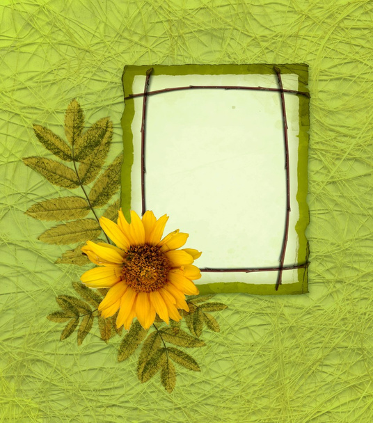 Elegant framework with flower - Photo, image