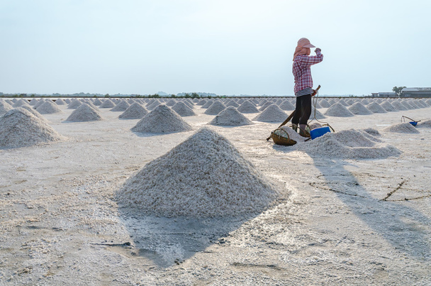 Trabalhador em pé no campo de sal que tem pilha de sal marinho
. - Foto, Imagem