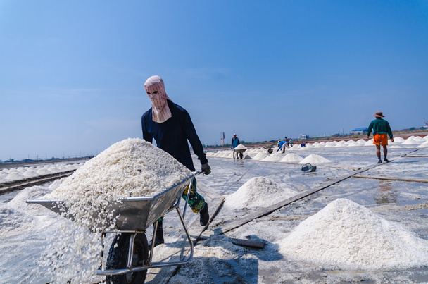 Werknemer gebruik kruiwagen uitvoering van zout voor de oogst. Selectieve Focu - Foto, afbeelding