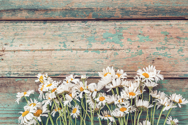 Background with bouquet of daisies on old boards with shabby  gr - Photo, image