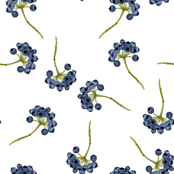 seamless pattern with watercolor drawingblue berries - Φωτογραφία, εικόνα