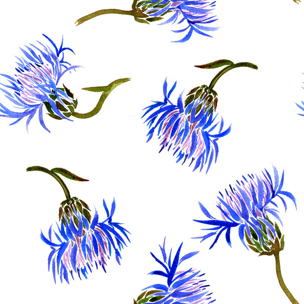 Seamless pattern with watercolor drawing cornflowers - Foto, Imagem