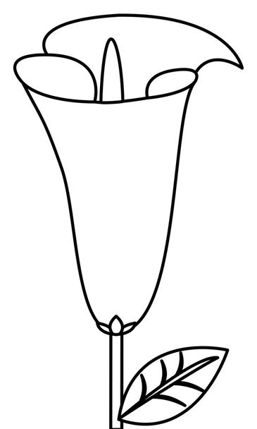 Calla lilly λουλούδι εικονίδιο - Διάνυσμα, εικόνα