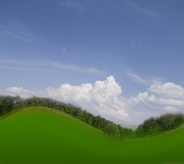groene bomen en blauwe lucht - Foto, afbeelding