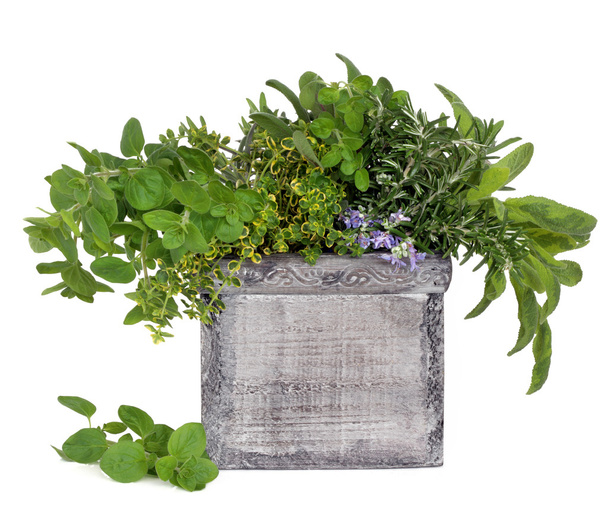 Fresh Herbs - Photo, Image