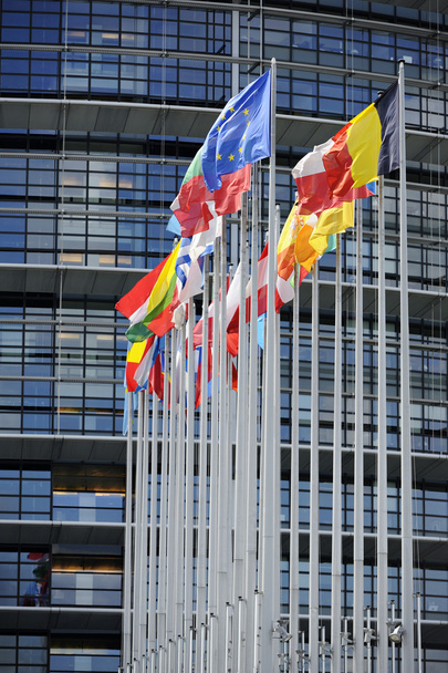 Zászlók előtt az Eu-Parlament - Fotó, kép
