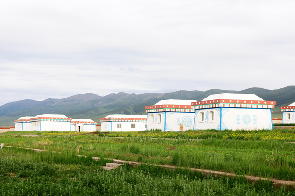 Mongoolse tent op grasland - Foto, afbeelding