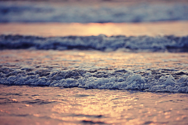 夏で海に沈む夕日  - 写真・画像