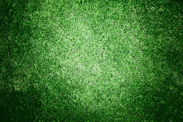 groen gras achtergrond textuur - Foto, afbeelding