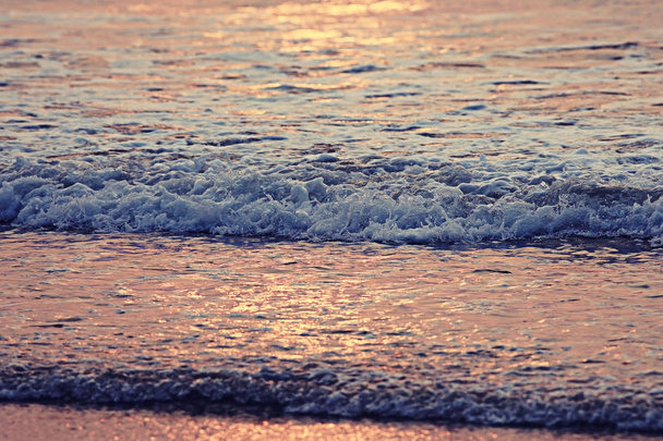 sunset on sea at summer  - 写真・画像