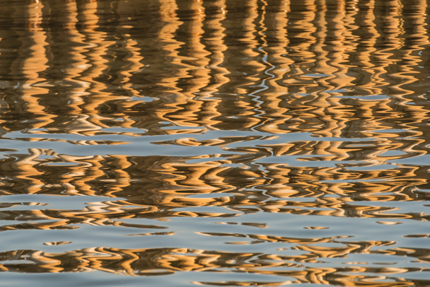 Reflectie van bamboe op een water. Abstracte achtergrond. - Foto, afbeelding
