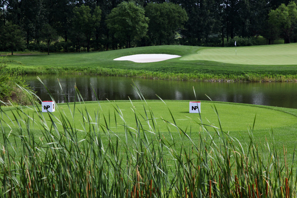 Vista panoramica del campo da golf
 - Foto, immagini