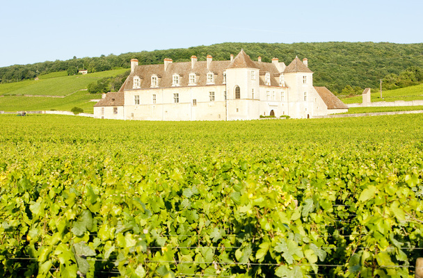 Блан Clos De Vougeot замок, Бургундія, Франція - Фото, зображення