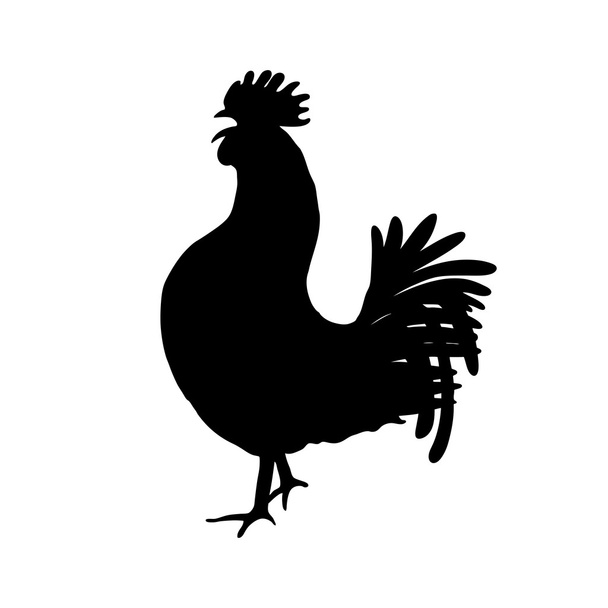 Rooster or cock symbol - Photo, image